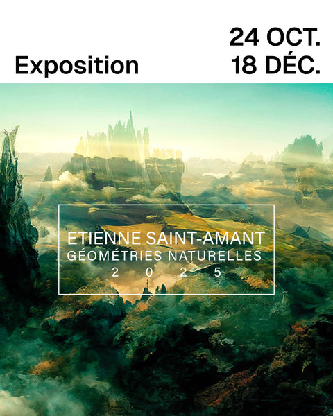 Natural Geometries 2025: A Celebration of Art, Nature, and Creative Chaos